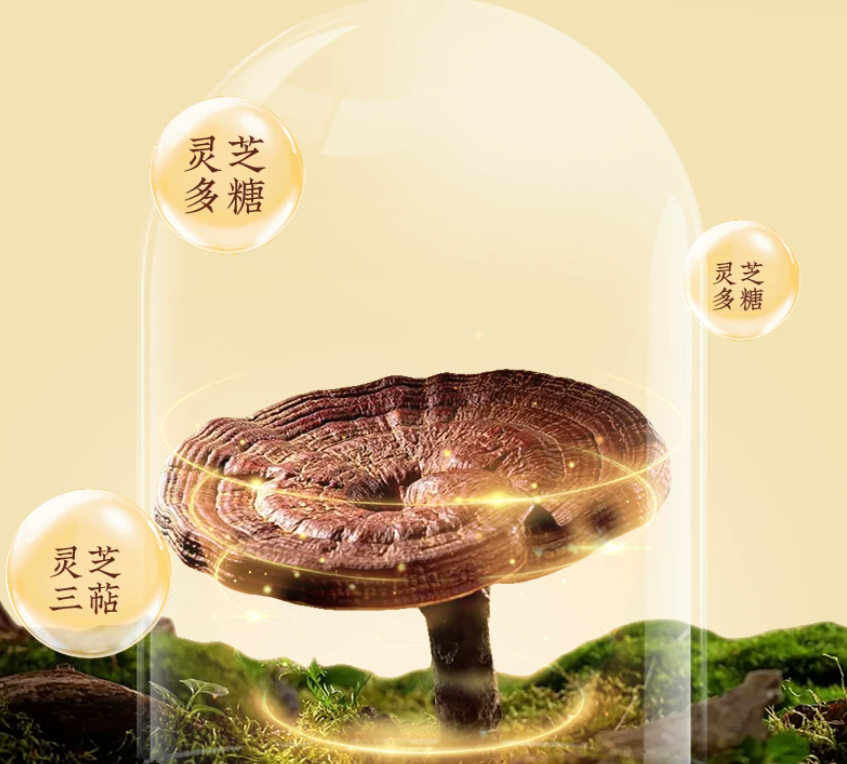 棘小白灵芝孢子油深度测评：大别山金寨道地赤芝，三大专利萃取，总三萜48.2g/100g，免疫力提升的真相是什么？
