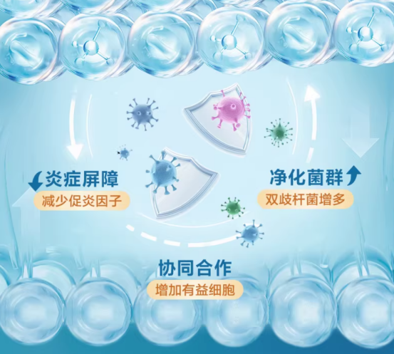 2026益生菌技术测评白皮书:双重核心工艺赋能 棘小白冻干益生菌实现高活性肠道养护